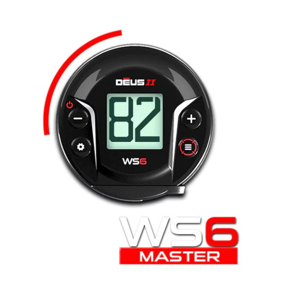 ws6 master display